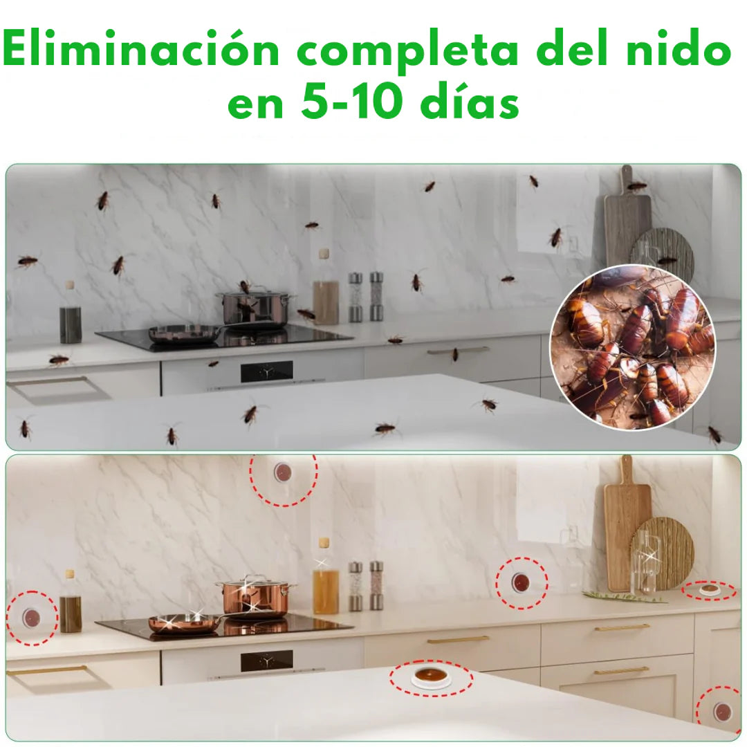 Encabezado
