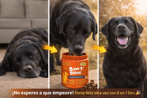 Producto